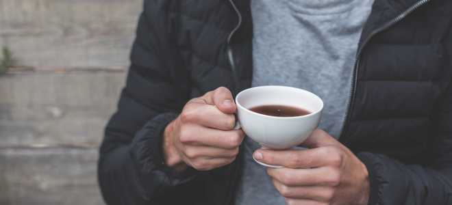 Полярный волк: таинственный хищник северных широт