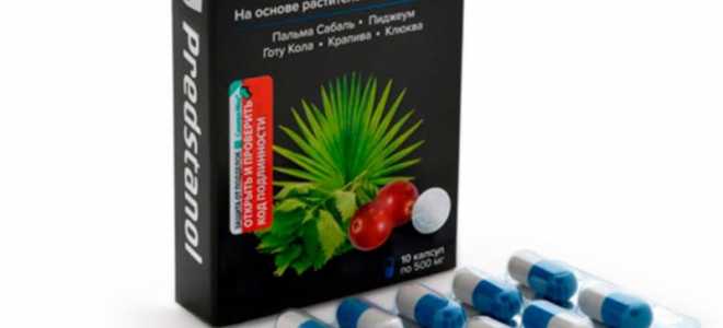 Памфобетус: таинственные пауки-великаны, от которых мурашки бегут по коже