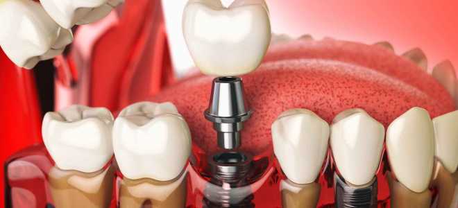 Сизоворонок – Птица Секретов и Красоты: Чудеса из Мира Природы