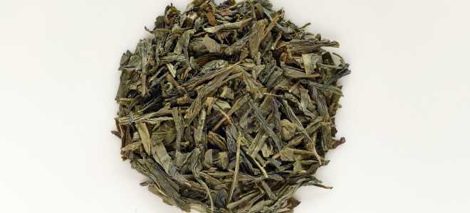 Аратинга Яндайя: Загадочная Жизнь Оригинального Птица