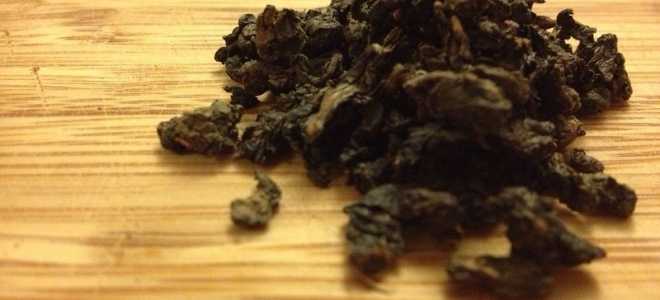 Желтый суслик: Удивительное существо степей и его тайны