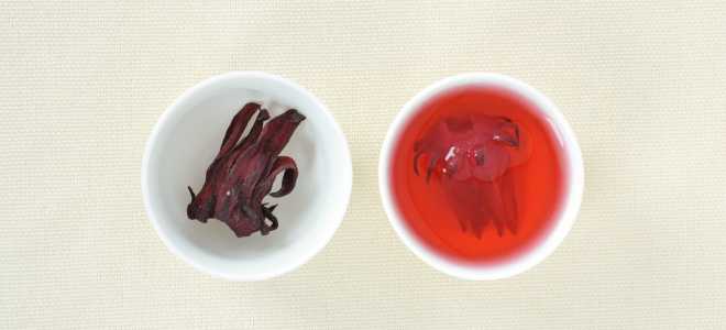 Песочный кот: Миф или реальность? Увлекательный мир уникальных животных