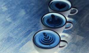 Цвет настроения синий: что за чай «голубая матча»?