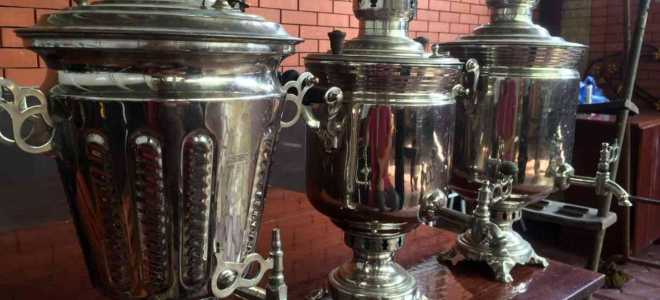 Аргентинские тараканы: экзотические домашние любимцы с характером