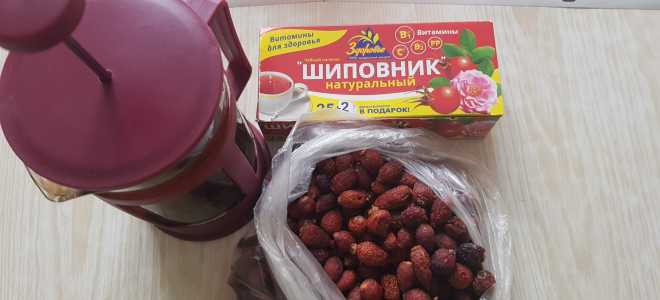 Макаки-резусы: Кто они и почему они так интересны?