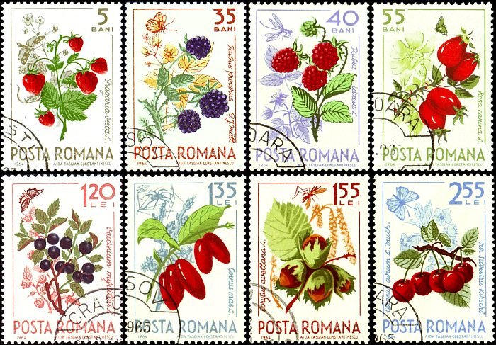 Очарование природы в почтовых марках: Флора и Фауна во всей красе